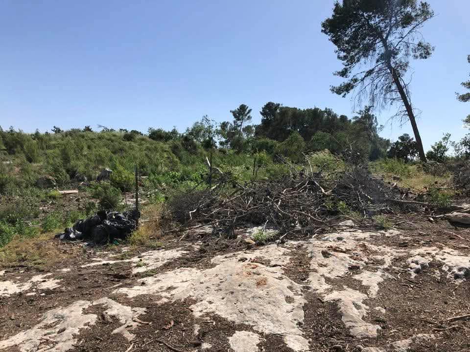  | موسوعة القرى الفلسطينية